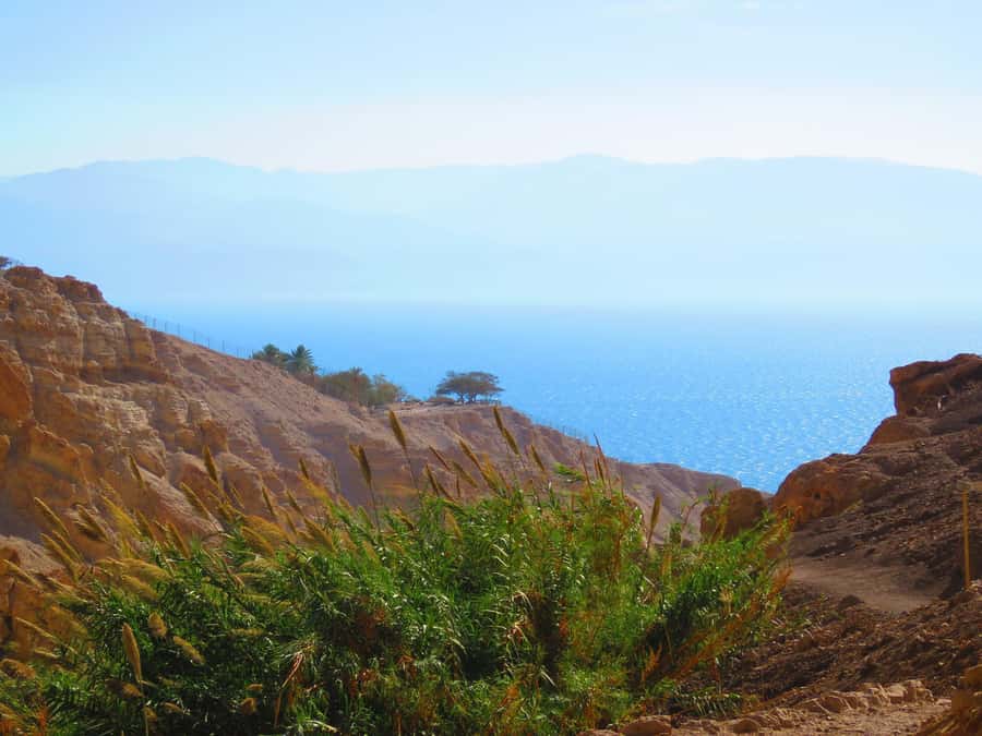 Jerusalem: Masada, Ein Gedi & Dead Sea Tour - Should you book the Masada, Ein Gedi, and Dead Sea tour?