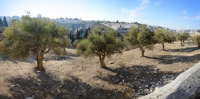 Jerusalem Old City from Tel Aviv - The Church of the Holy Sepulchre needs patience