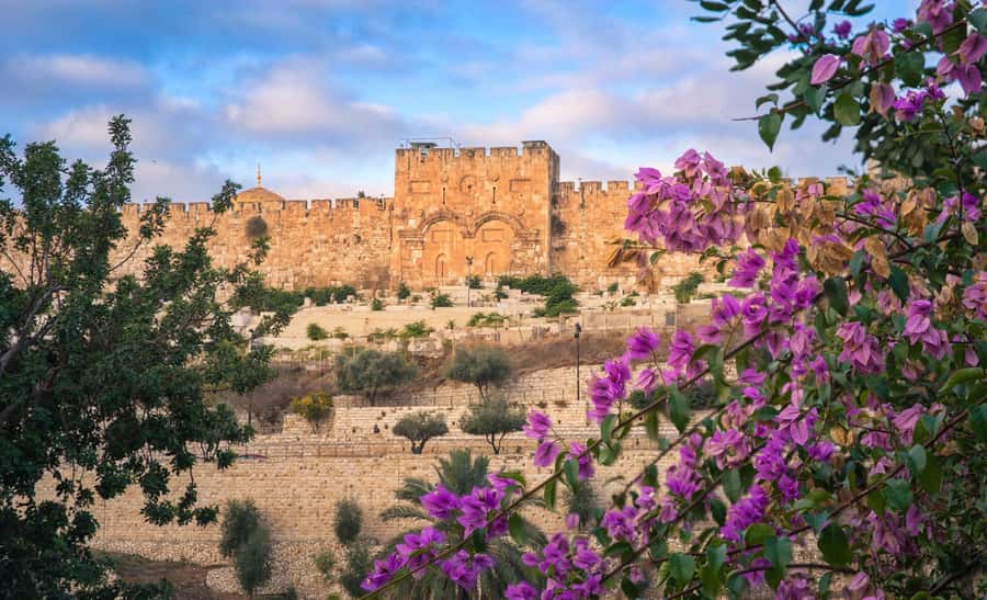 Jerusalem: Old City Morning Tour - Returning to Jaffa Gate