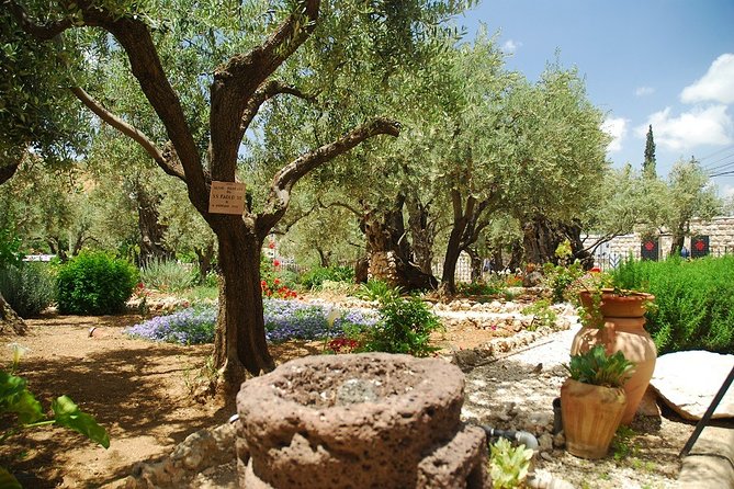Jerusalem Old City & Mount Zion from Tel Aviv - Mount Scopus: Jerusalem before the walking begins
