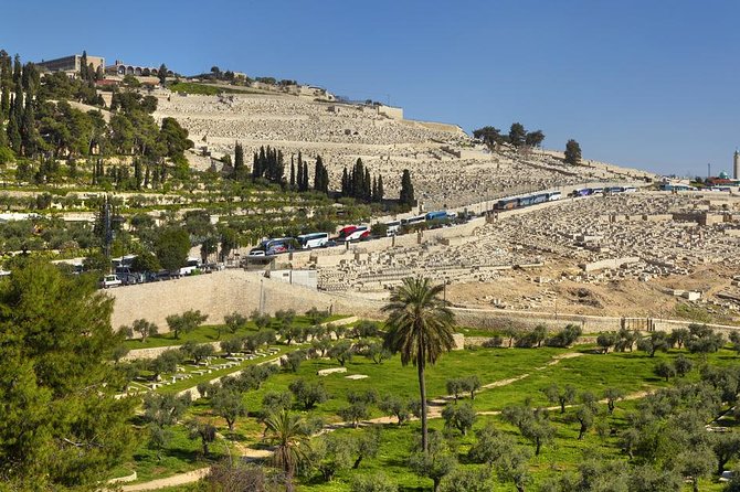 Jerusalem Temple Mount & Dome of the Rock - Why this Jerusalem day trip works