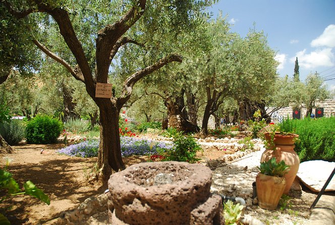 Jerusalem Walking Tour: In the Footsteps of Jesus - How demanding is the nine-hour schedule?