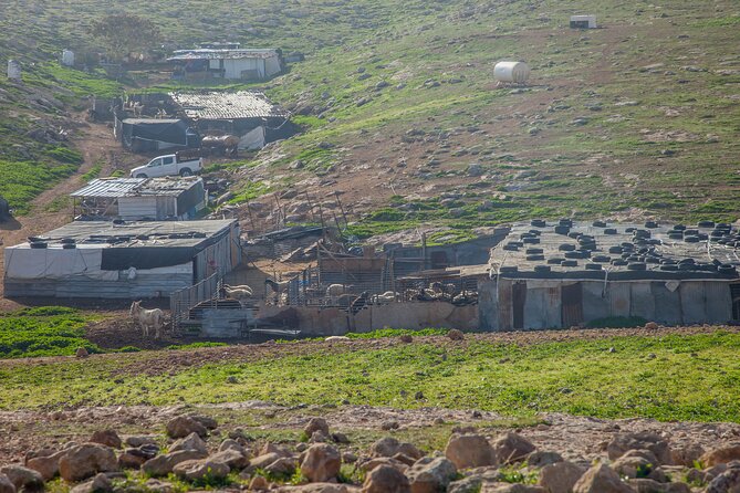 Judean Desert Jeep Adventure from Jerusalem - Who will enjoy this trip most?