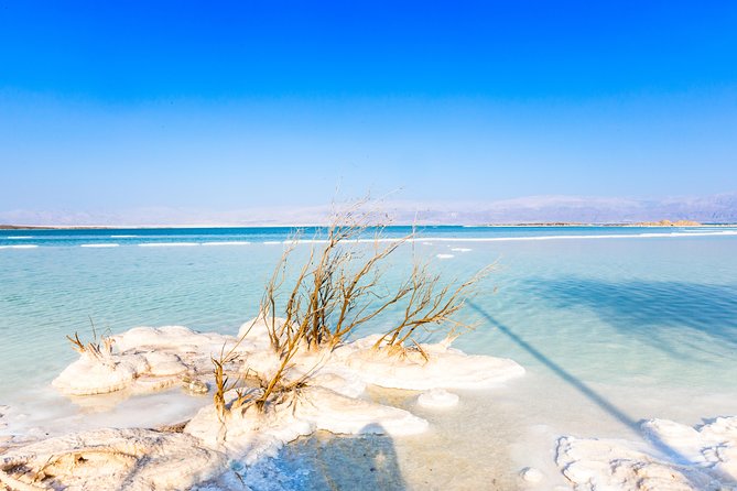 Masada and Dead Sea from Tel Aviv - Who Should Choose This Tour?