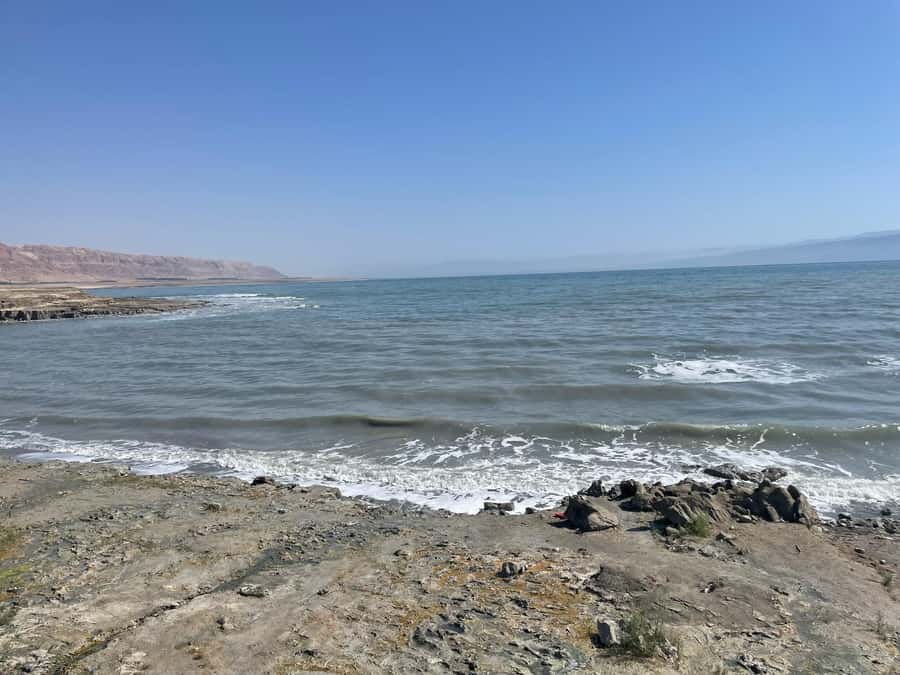 Masada Dead Sea: Small Group Tour from Tlv INCL. ENTRY FEES - What the small-group format is really worth