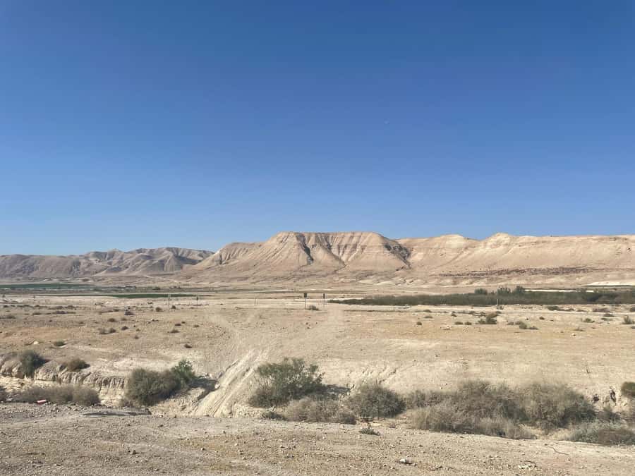 Masada Dead Sea: Small Group Tour from Tlv INCL. ENTRY FEES - Should you book the Masada and Dead Sea day trip?