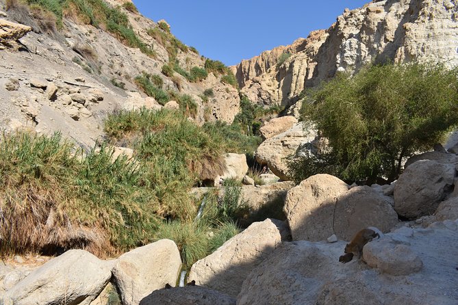 Masada, Ein Gedi, and The Dead Sea from Tel Aviv - Is $99 good value?