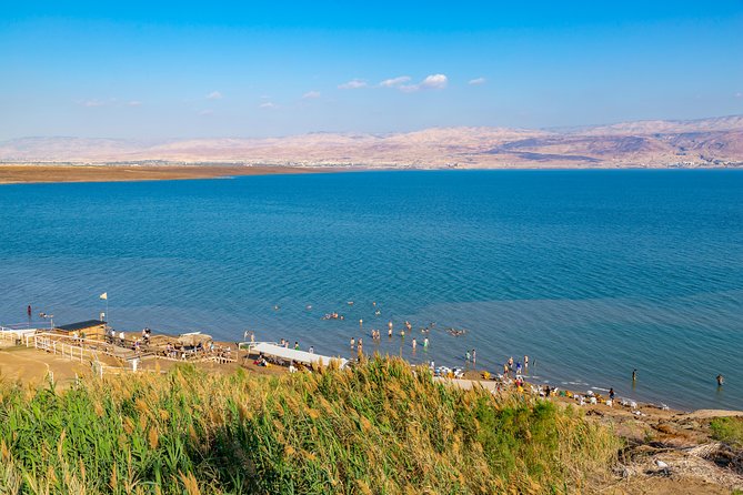 Masada Sunrise Ein Gedi and Dead Sea Tour from Jerusalem - Ein Gedi, a real oasis in the desert