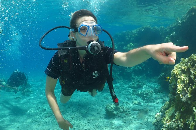 PADI Open Water Diver Course - 5 Days Scuba Diving - Six Open Water Sessions Along the Coral Reef