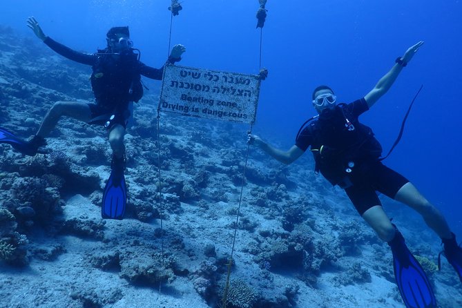 PADI Open Water Diver Course - 5 Days Scuba Diving - How The Certification Helps After Eilat