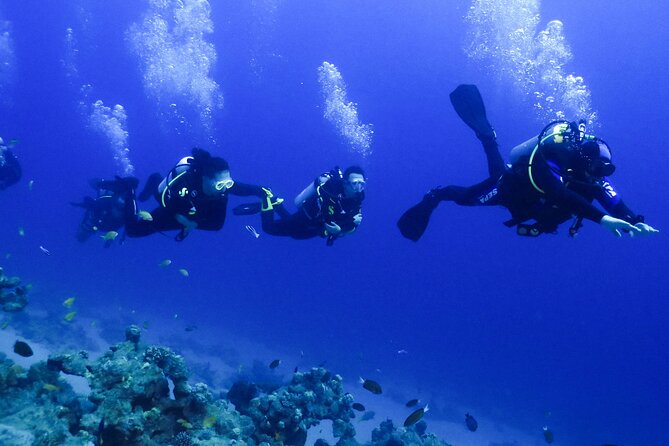 PADI Open Water Diver Course - 5 Days Scuba Diving - Who Should Book This Five-Day Course