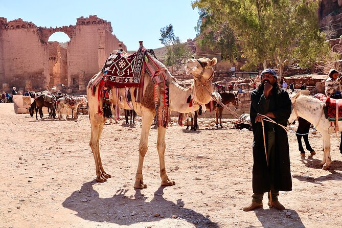 Petra 1-Day Tour from Tel Aviv with FREE Authentic Lunch - What the limited Petra time means