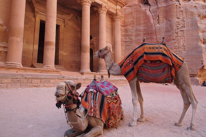 Petra & Wadi Rum 3 Days 2 Tour Nights from Eilat border - The road from Petra to Wadi Rum