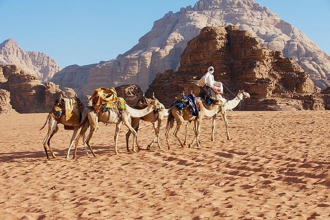 Petra & Wadi Rum 3 Days 2 Tour Nights from Eilat border - Guides, drivers, and the human side of the trip