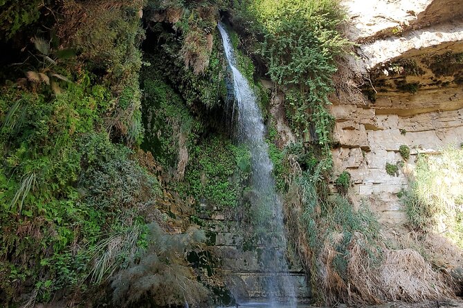 Private Day Tour in Masada and the Dead Sea - The value of a $700 private tour