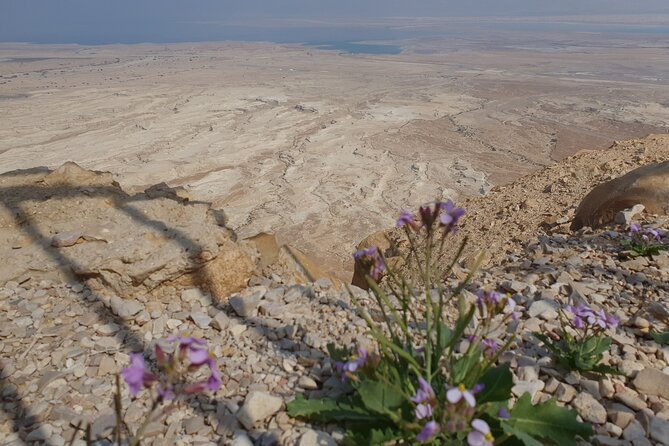 Private Day Tour in Masada and the Dead Sea - Ein Gedi’s waterfall oasis
