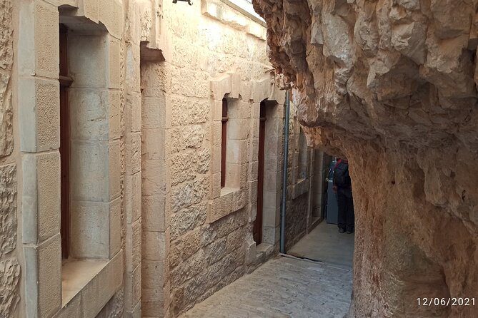 private Full-day Tour to Jericho + the Dead Sea - Zaccheus’ Tree, a quick photo stop