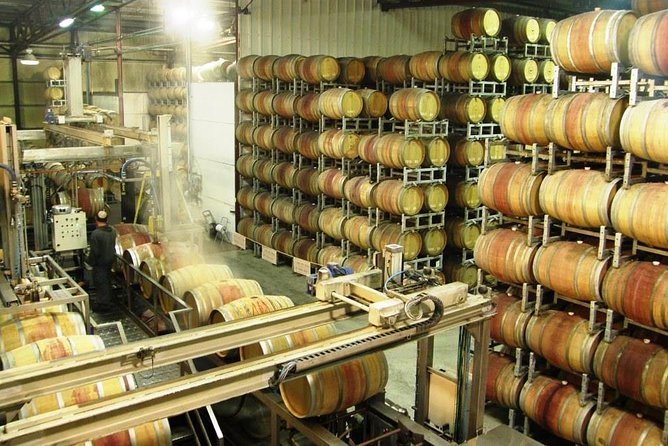 Private Israeli Wines Tour of the Central Israel - Three wineries, three different personalities