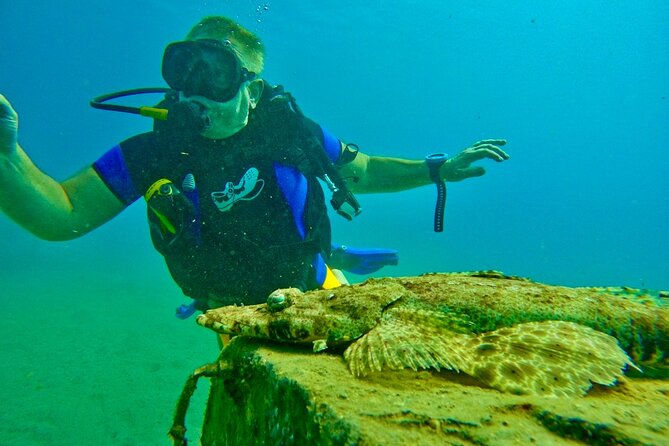 Private Scuba Diving Tour with Transportation and Guide - What the private format changes
