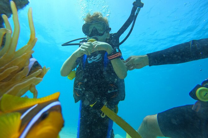 Private Scuba Diving Tour with Transportation and Guide - Is $220 per person a fair price?