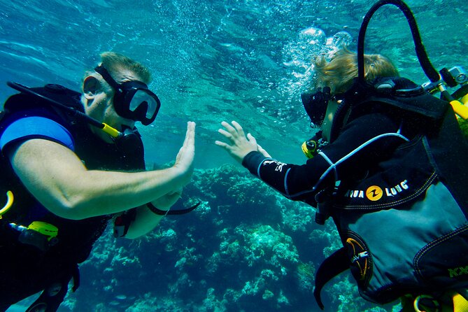 Private Scuba Diving Tour with Transportation and Guide - Who should book this experience?