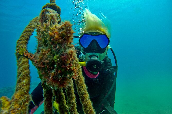 Private Scuba Diving Tour with Transportation and Guide - Practical details before you book