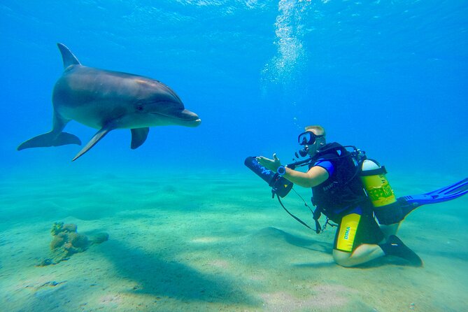 Private Scuba Diving Tour with Transportation and Guide - How to make the most of the outing