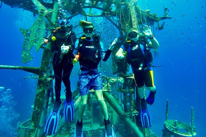Private Scuba Diving Tour with Transportation and Guide - How the four-hour schedule works