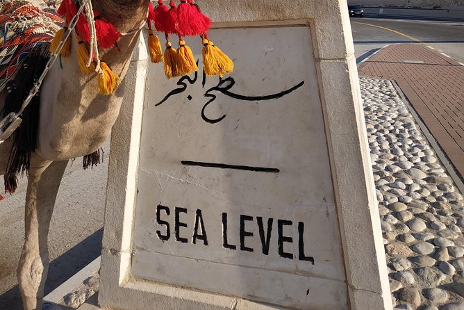 Private Tour: Dead Sea and Masada - Masada, Herod’s desert fortress