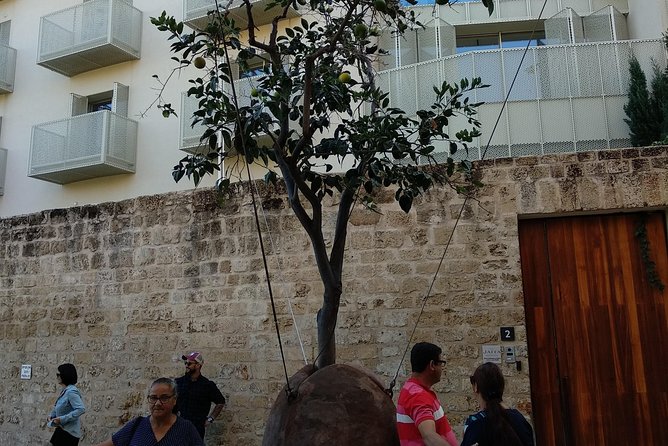 Private Tour: Non-Stop Tel-Aviv - Why this tour works for a first day in Tel Aviv