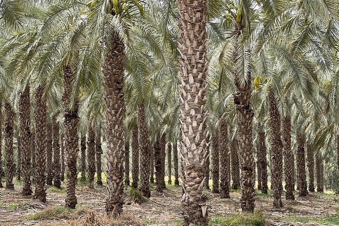 Private Tour to Nazareth & Sea of Galilee & Jordan River Yardenit - Exclusive - Sea of Galilee, Mount of Beatitudes, and Capernaum