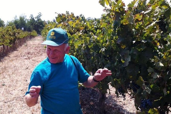 Private wine tour of Northern Israel - The drive into Israel’s northern wine country