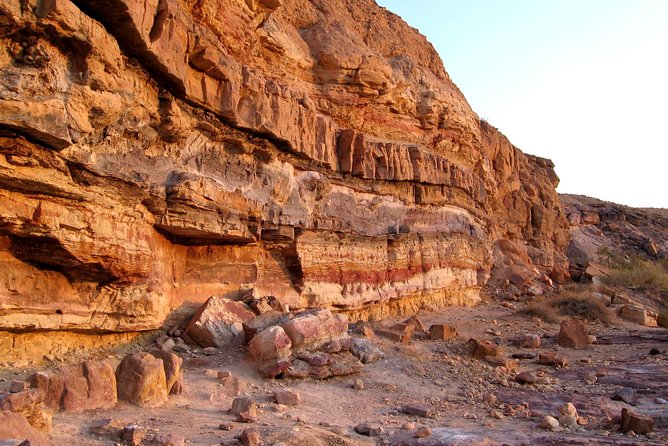Ramon Crater Jeep Tour from Mitzpe Ramon - Wadi Zochalim and the desert under Acacia shade