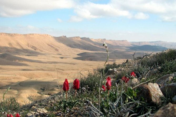 Ramon Crater Jeep Tour from Mitzpe Ramon - Who will enjoy this tour most