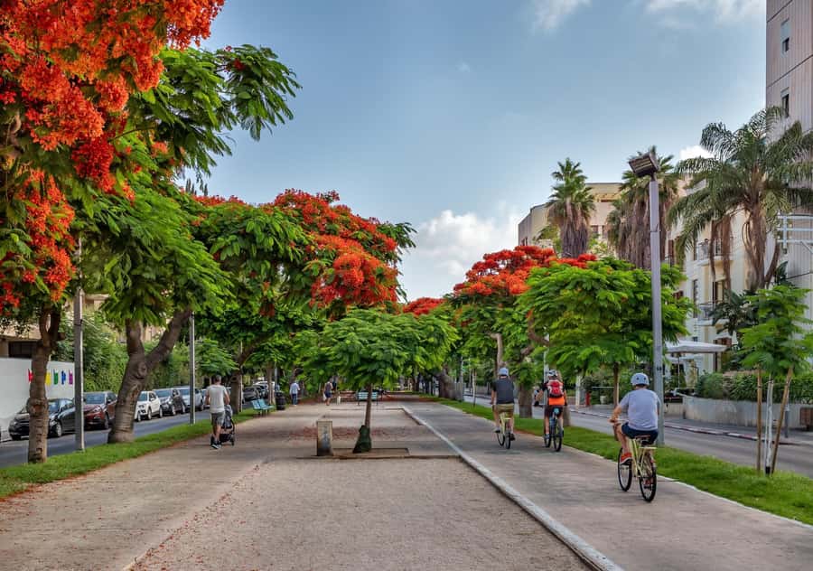 Tel Aviv: Carmel Market & Tel Aviv Tour with Tastings - Nahalat Binyamin: murals, craft streets, and urban character