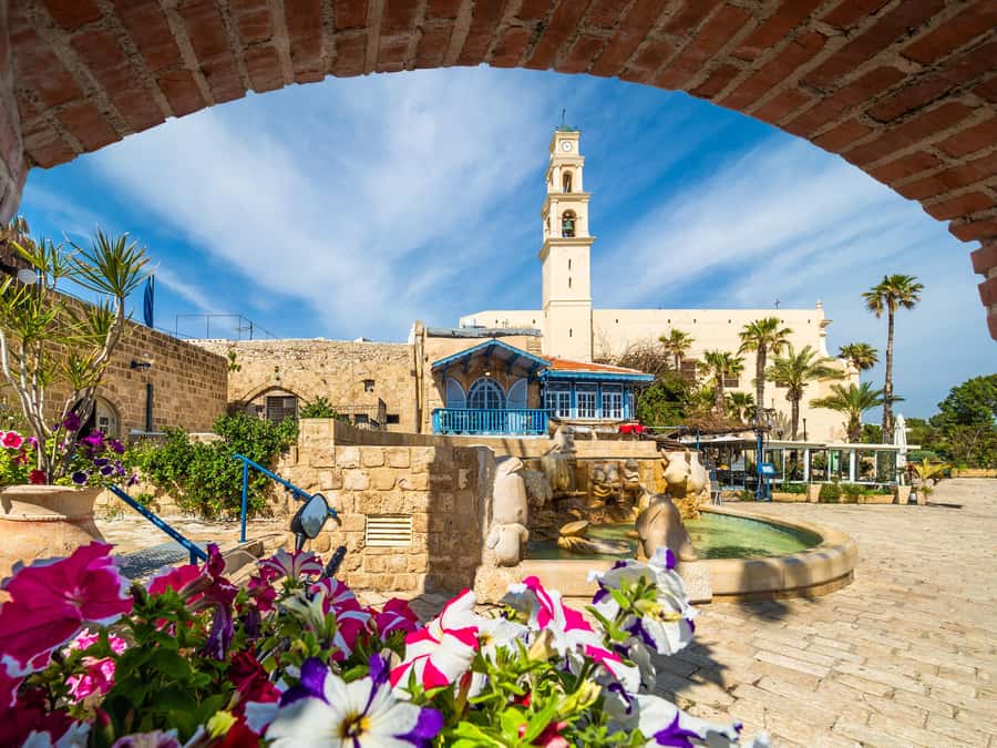 Tel Aviv: Jaffa Half-Day Walking Tour - Looking toward the Old Port