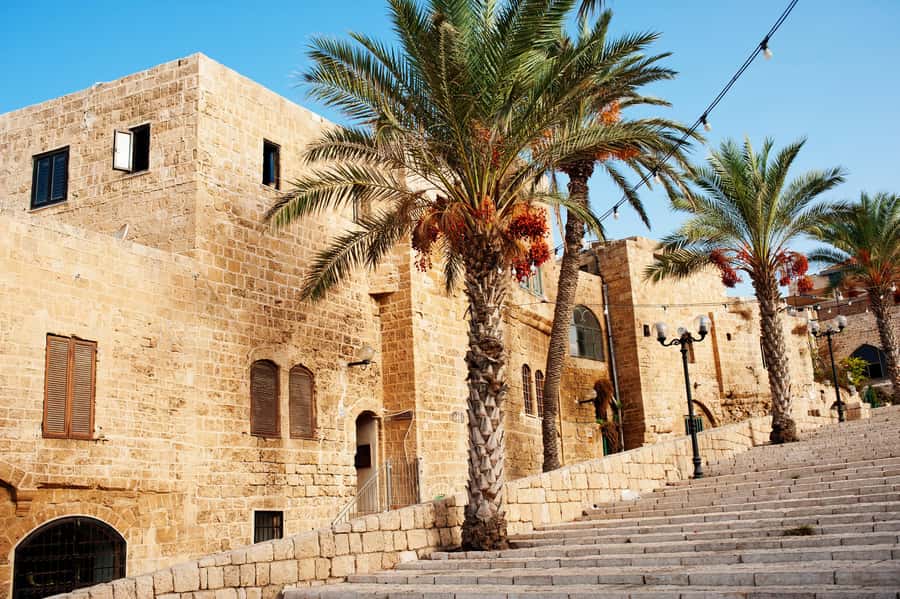 Tel Aviv: Jaffa Half-Day Walking Tour - Who gets the best value for $49