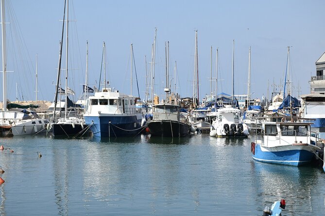 Tel Aviv; Jaffa Old City, Port & Shuk Hapishpishim Walking Tour - Mahmoudiya Mosque and the limits of scheduled access