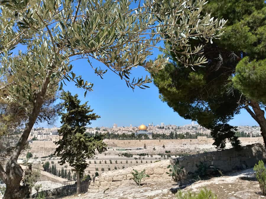 Tel Aviv: Jerusalem, Bethlehem & Dead Sea - Floating at the Dead Sea