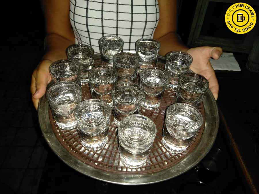 Tel Aviv: Pub Crawl and Nightlife Tour with Shots - Who should book this Tel Aviv night out?