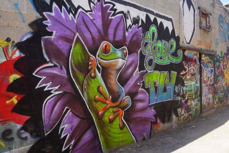 Tel Aviv: Street Art and Graffiti Tour - Ha’Mesila Park and the art of public space