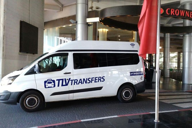 Tel Aviv to Tel Aviv Airport (TLV) - Departure Private Transfer - Choosing between a sedan, minivan, and minibus