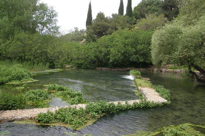 Tel Dan and Baniyas National Parks Private Tour - Tel Dan, where streams run beside ancient walls